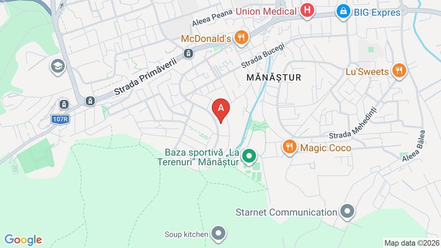 Apartament cu 3 camere decomandat, mobilat în Mănăștur
