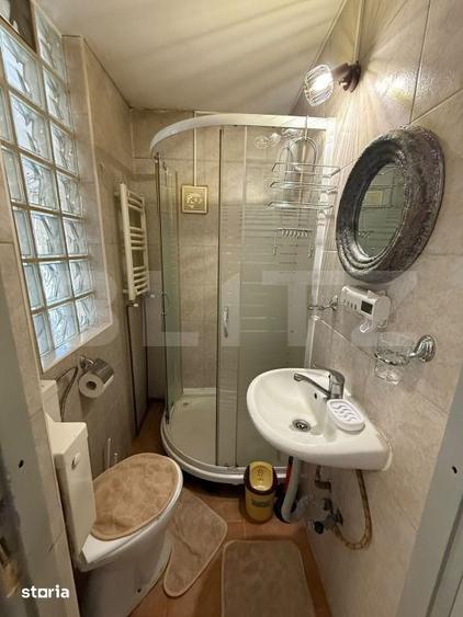 Apartament 1 camera, 36 mp, pet friendly, zona Andrei Muresanu - 8