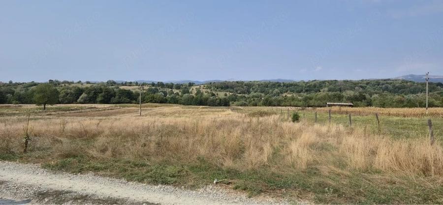 Teren de 4600 mp, în Bumbești-Pițic