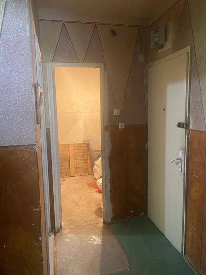 Apartament cu 2 camere decomandat în Paltin