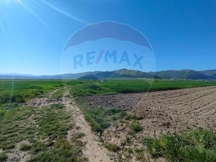 Teren agricol extravilan de 1724 mp, în Gura Râului