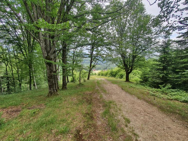 Teren Construcții intravilan de 683 mp, în Poiana Brașov
