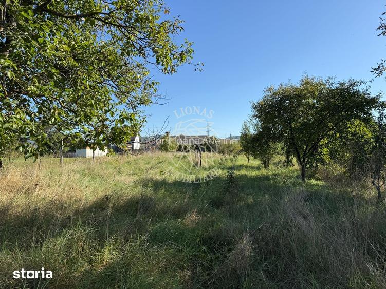 Teren intravilan 965 mp-imprejmuit-ideal casa-Livezile