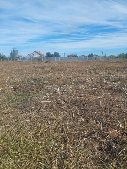 Teren Construcții intravilan de 2800 mp, în Liebling