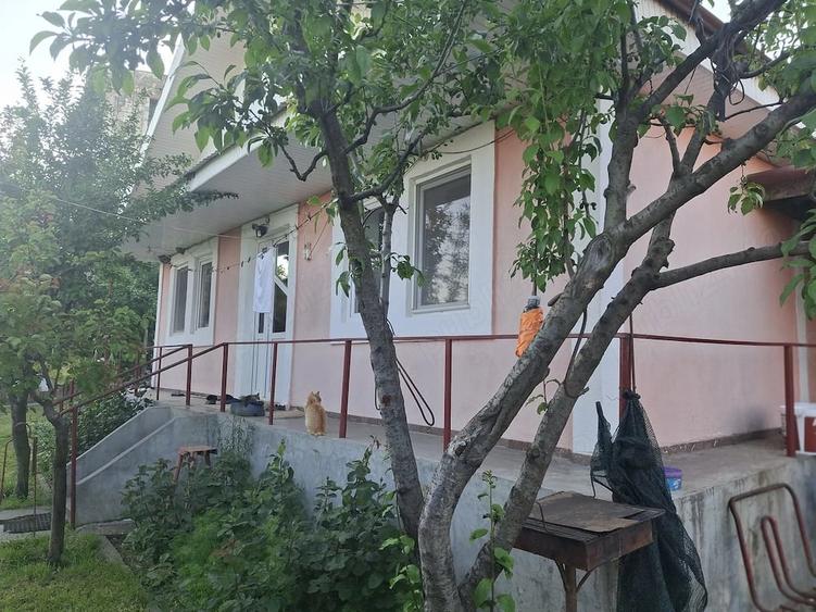 Casă cu 3 camere cu Teren 1300 Mp în Viișoara