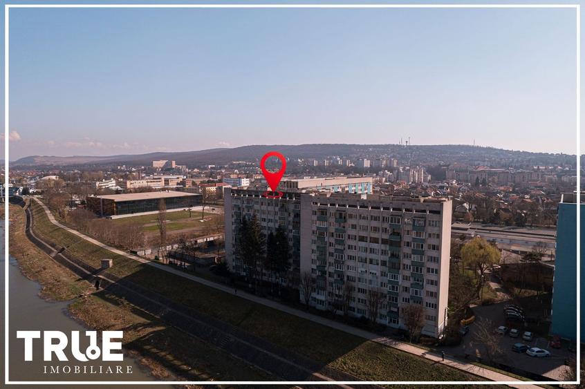 Apartament cu 3 camere decomandat, mobilat în Aleea Carpați