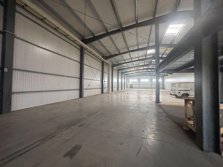 Spațiu industrial, de 885 mp, în Sânandrei