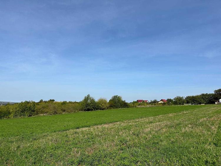 Teren de vanzare in Adancata 43 ari - pretabil ansamblu imobiliar - 3