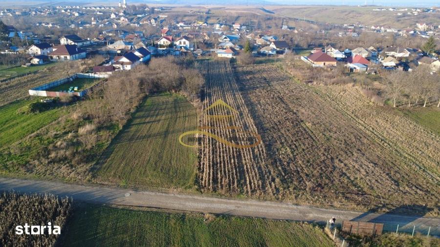 Teren de 2500 mp, în CFR