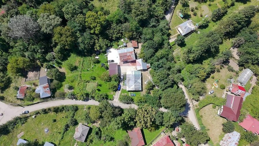 Teren de 8277 mp, în Provița de Jos