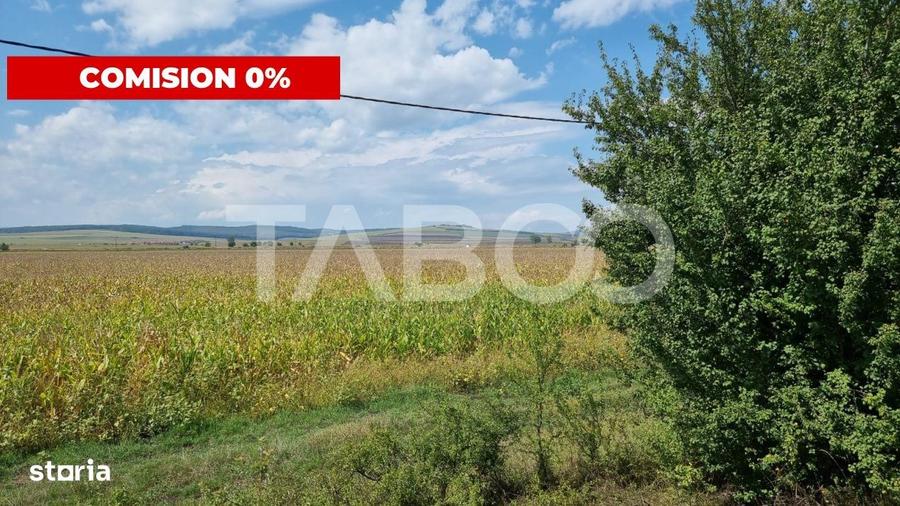 Spațiu comercial, în Central