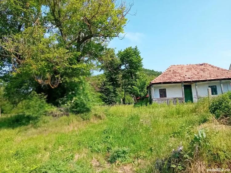 Teren de 4000 mp, în Băbana