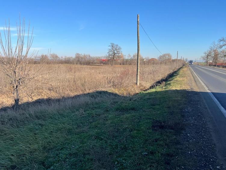 Teren Construcții intravilan de 27921 mp, în Săcădat