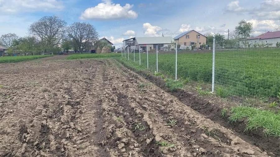 Casă cu 3 camere cu Teren 3600 Mp în Lozna