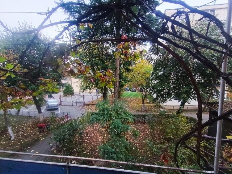 Apartament cu 2 camere semidecomandat, mobilat în Dumbrava 2