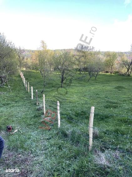 Teren de 7280 mp, în Mihăești