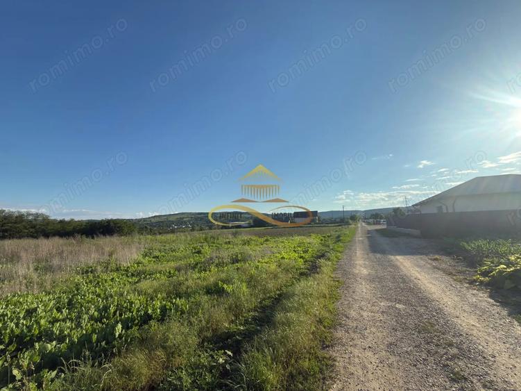 Teren de vanzare in Magura Bacau - 4