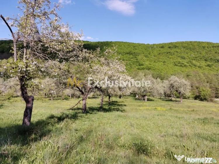 Teren în Budeasa