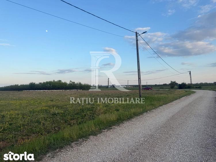 Teren de 2000 mp, în Tămășeu