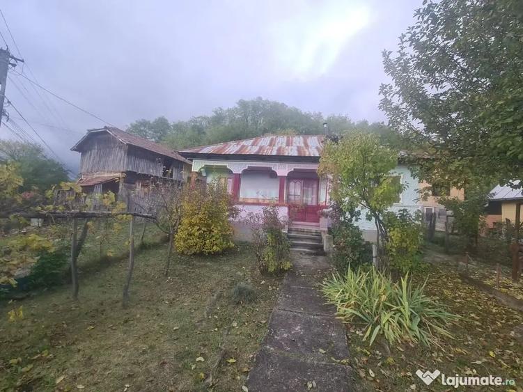 Casă cu 3 camere cu Teren 3410 Mp în Aluniș