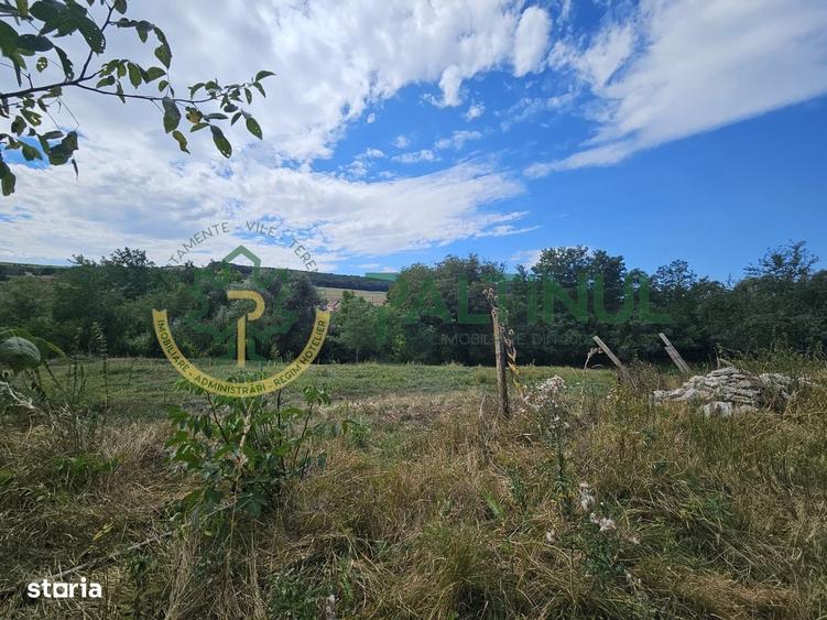 Teren intravilan de vanzare in Alamor, Sibiu, deschidere generoasa, ut - 3