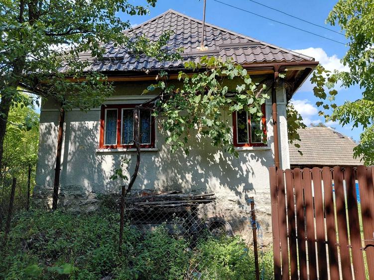 Casă cu 2 camere în Hodișu