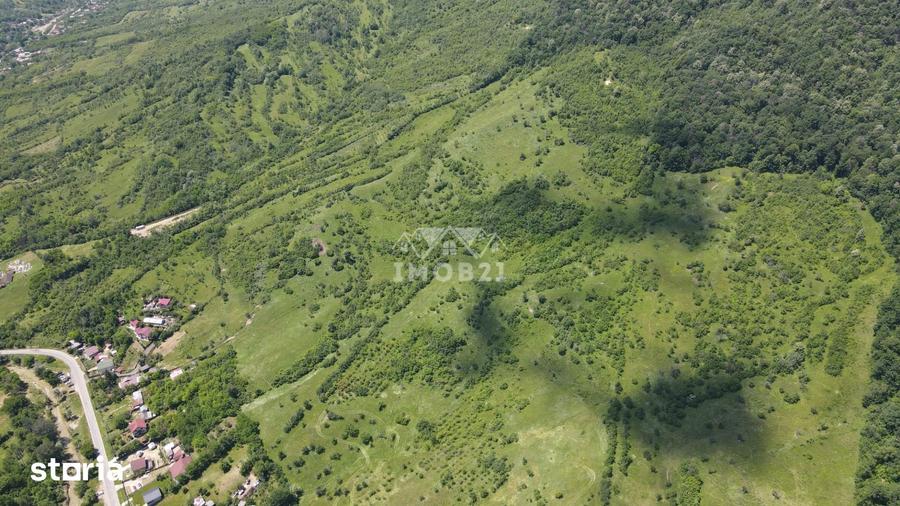 Teren de 18900 mp, în Șoimari