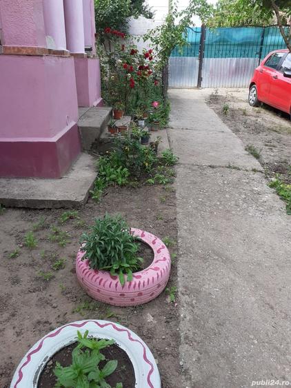 Casă cu 2 camere cu Teren 2930 Mp în Valea Stanciului
