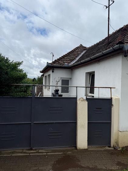 Vand casa Paulis - 1