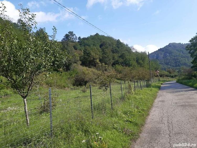 Teren de 7000 mp, în Voia