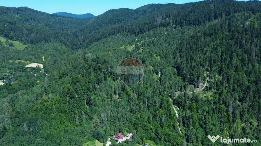 Teren 120.000 mp Sucevi?a oportunitate de investi?i... - 9