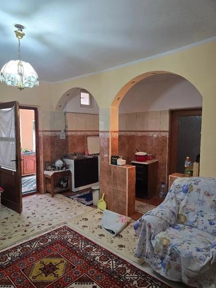 Vand casa plus anexa Tamaseu SC-200 mp , teren 3040 mp , gaz , la sosea , aproape strand - 23