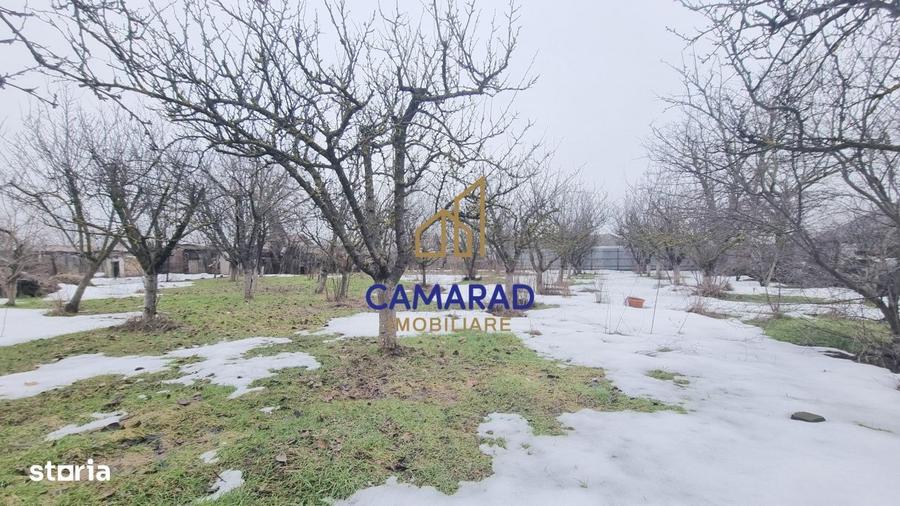 Casă cu 3 camere cu Teren 1450 Mp în Tămădău Mare