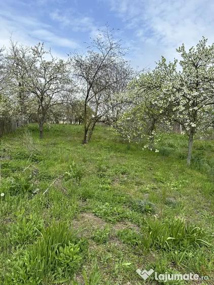 Teren de 7491 mp, în Găiseanca