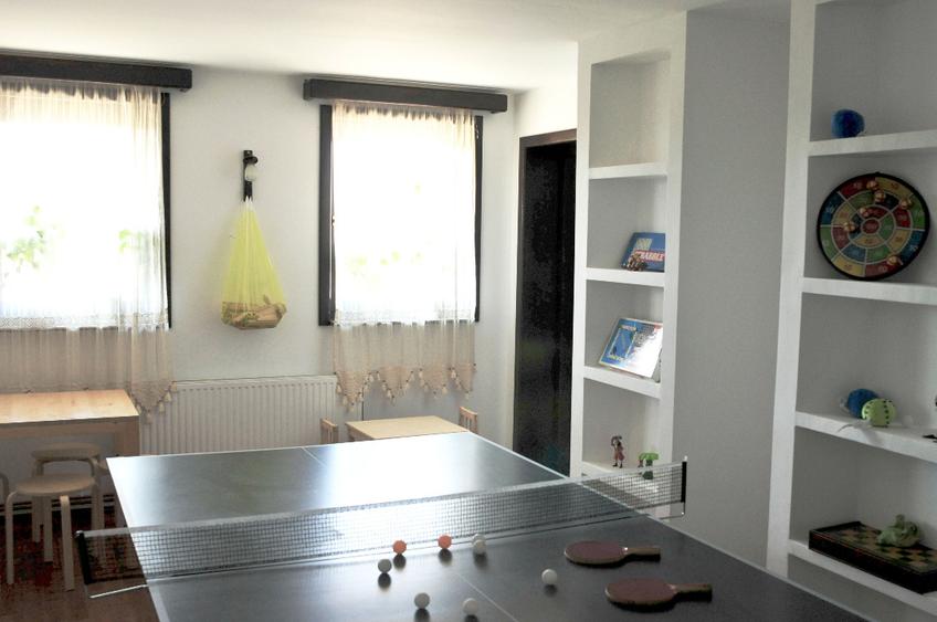 Casă individuală cu 5 camere cu Teren 8900 Mp în Dobreni