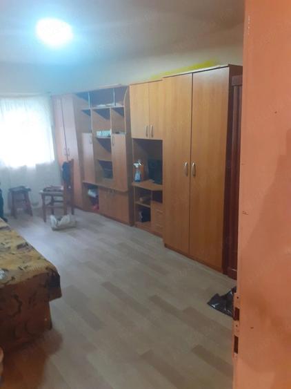 Casă cu 2 camere cu Teren 40 Mp în Sasca Montană