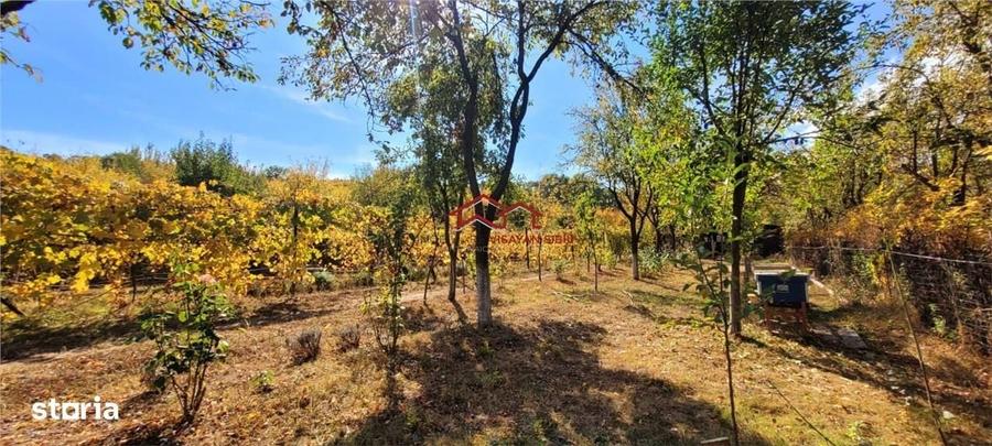 Casă cu 4 camere în Cisnădioara