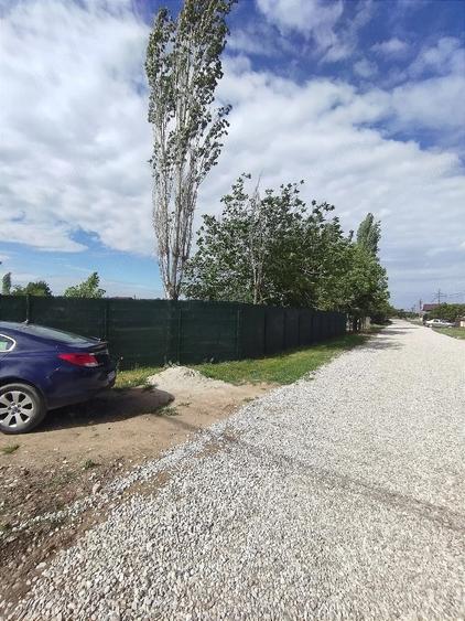 Teren de 2000 mp, în Curtișoara
