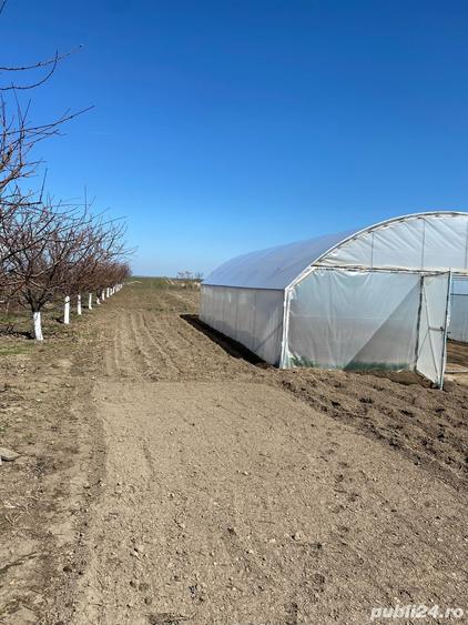 Casă cu 2 camere cu Teren 2200 Mp în Gostavățu