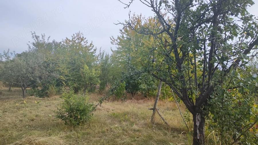 Teren de 7800 mp, în Scânteia