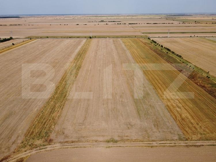 Teren Construcții intravilan de 7500 mp, în Sud