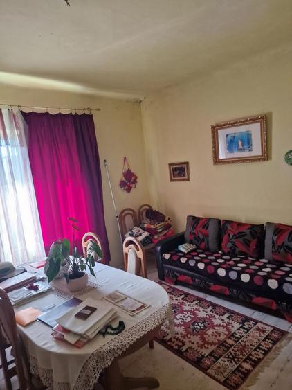 Apartament 1 camera-Gradina privata-Parcul Copou - 1