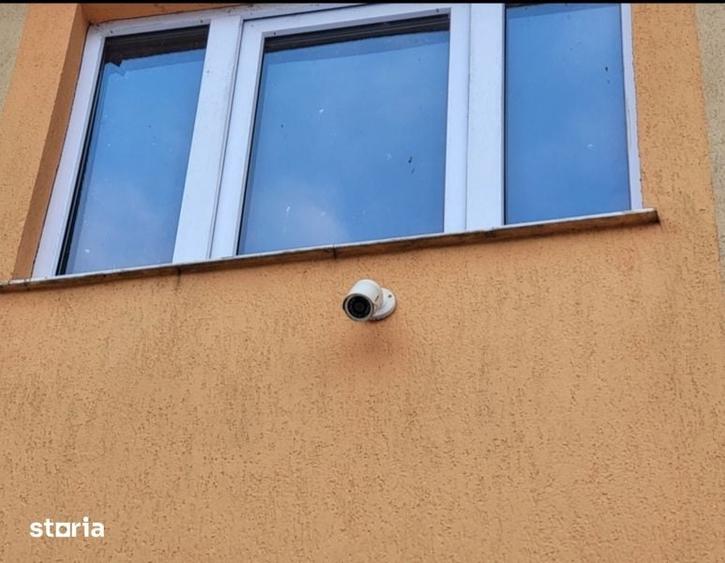 CASA cu TEREN 7.3 HECTARE INTRAVILAN in Zvorastea Suceava - 3
