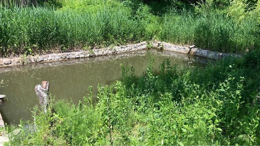 Casă cu 2 camere cu Teren 2400 Mp în Iedera