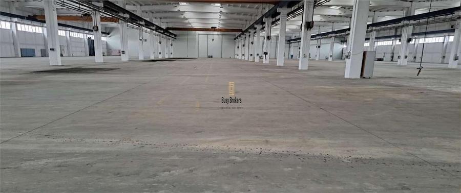 Spațiu industrial, de 9,750 mp, în Central