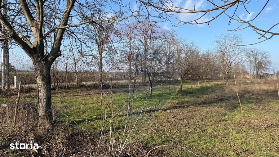 Teren de 2300 mp, în Vânători