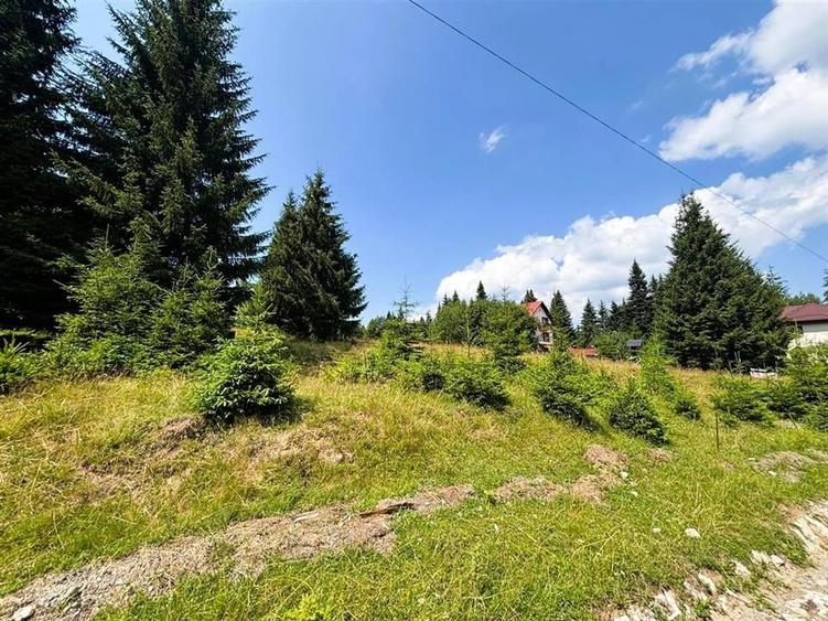 Teren Construcții intravilan de 1000 mp, în Vlădeț - Trei Brazi