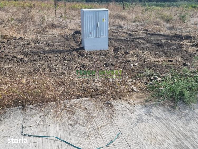 Teren de 460 mp, în Frumușani