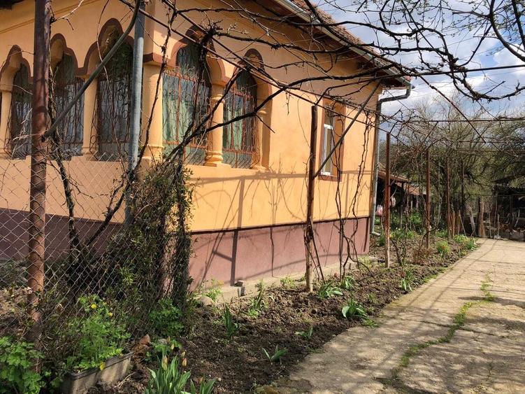 Casă cu 4 camere în Borăscu