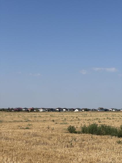 Teren agricol extravilan de 10000 mp, în Dragomirești-Vale